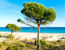 Tarifa, empty dream beach of Bolonia