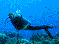 Diving in Tarifa